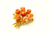 Coral Brooch